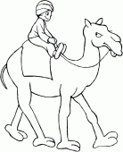 coloring picture of a child sitting on the bump of the dromedary 